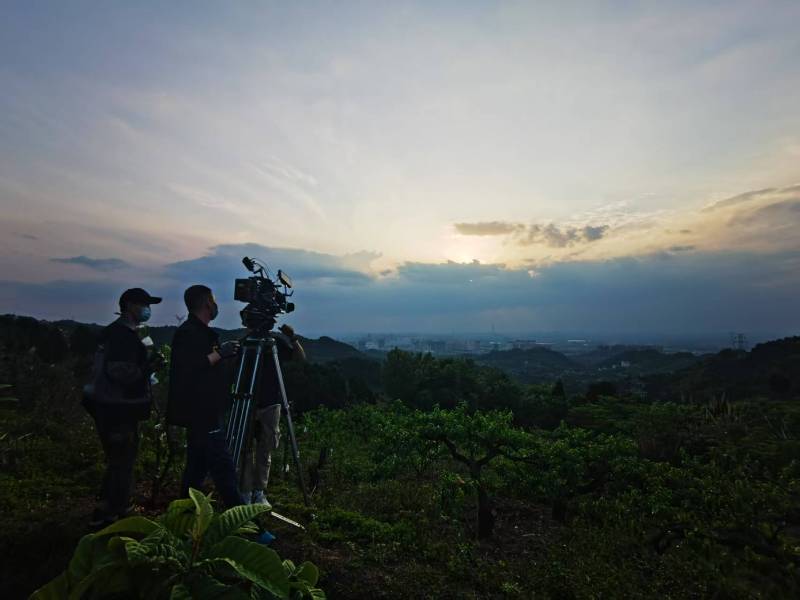 聚焦宜章县产品宣传视频拍摄公司，用专业实力铸就品牌传播传奇