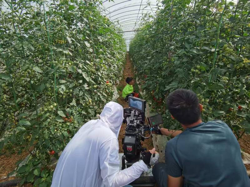 宜章县产品宣传视频拍摄公司进阶指南，助力品牌抢占传播高地